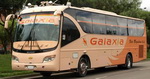 Flota Magdalena - Galaxia Bus